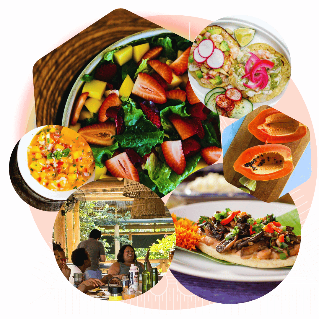 Collage of beautiful healthy plant-based gluten free and animal protein rich foods on retreat at Mixto.