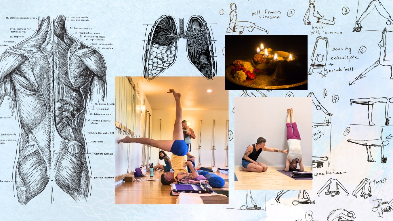 A collage of an anatomy graphic showing the back muscles, Avery Kalapa teaching salamba sarvangasana and pincamayurasana, a puja, and yoga sequence notes.